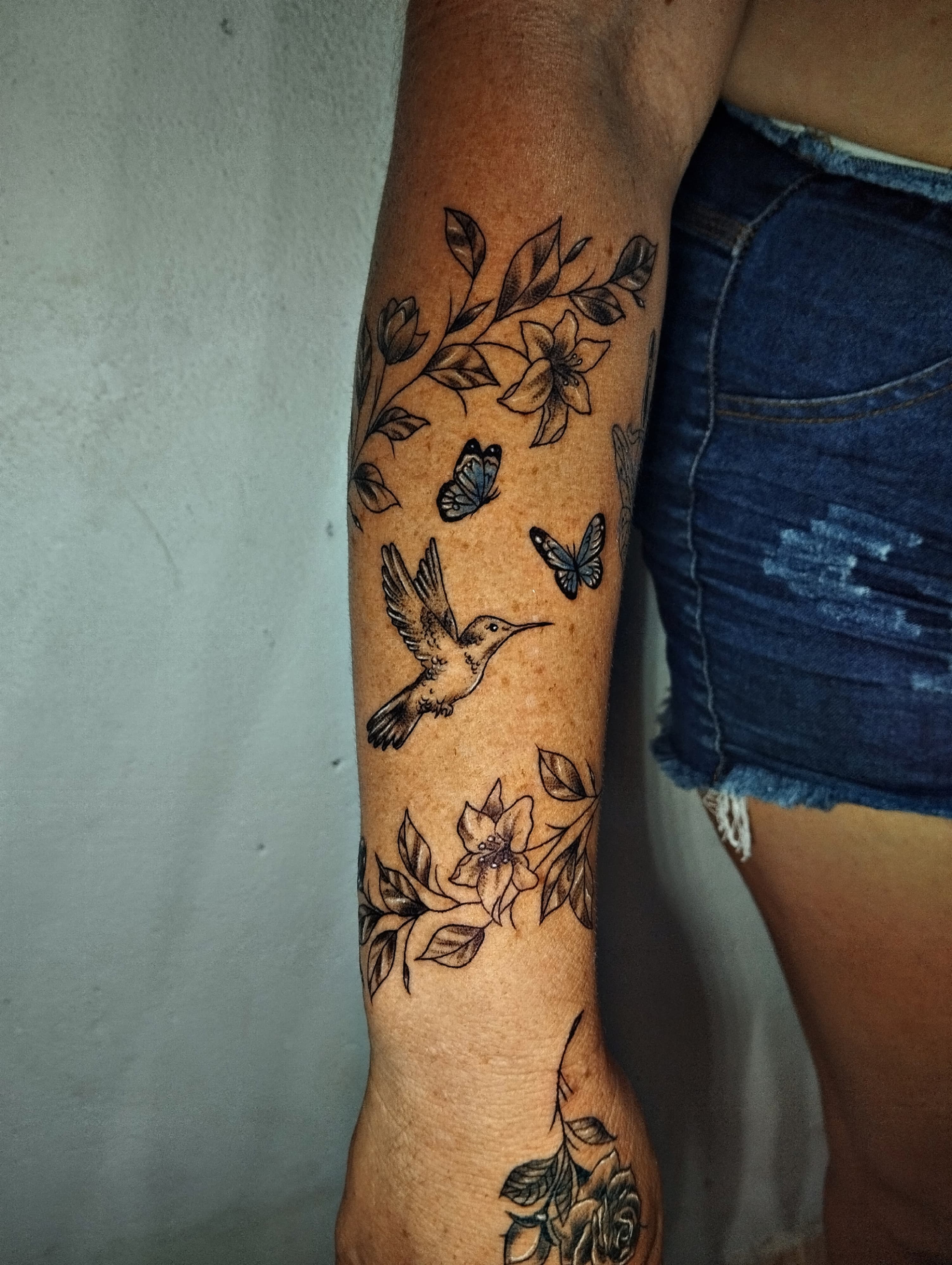 Imagem 1